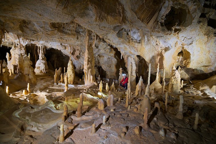 Stalagmites in a cave