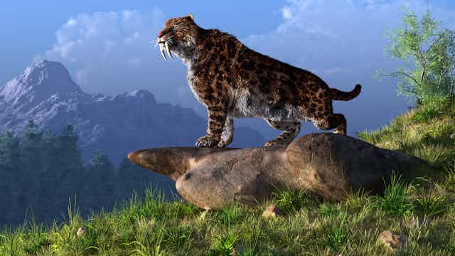 A large cat with tusks looks over a mountain valley