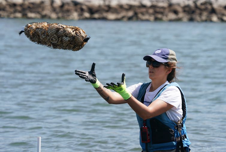 Woman holds out hands to catch a sack of oysters