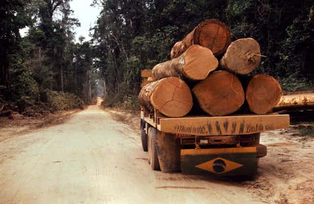 A flatbed truck loaded with felled trunks.