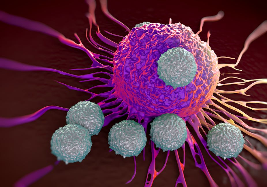 A tumour is being attacked by the body's immune cells.