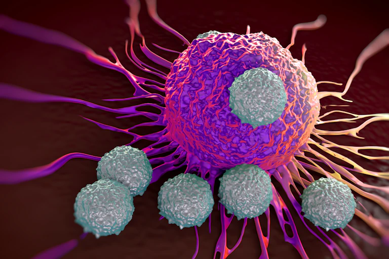 A tumour is being attacked by the body's immune cells.