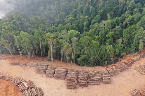 global deforestation deal will fail if countries like Australia don't lift their game on land clearing