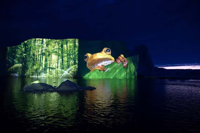 A frog projected onto an iceberg.