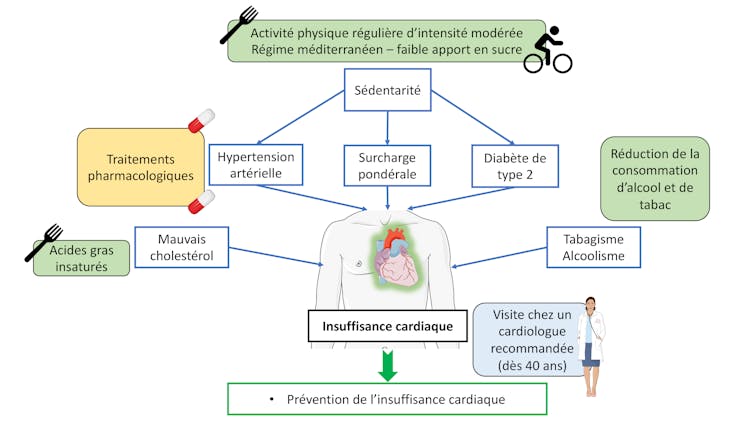 Schéma redonnant les actions préventives contre l’insuffisance cardiaque