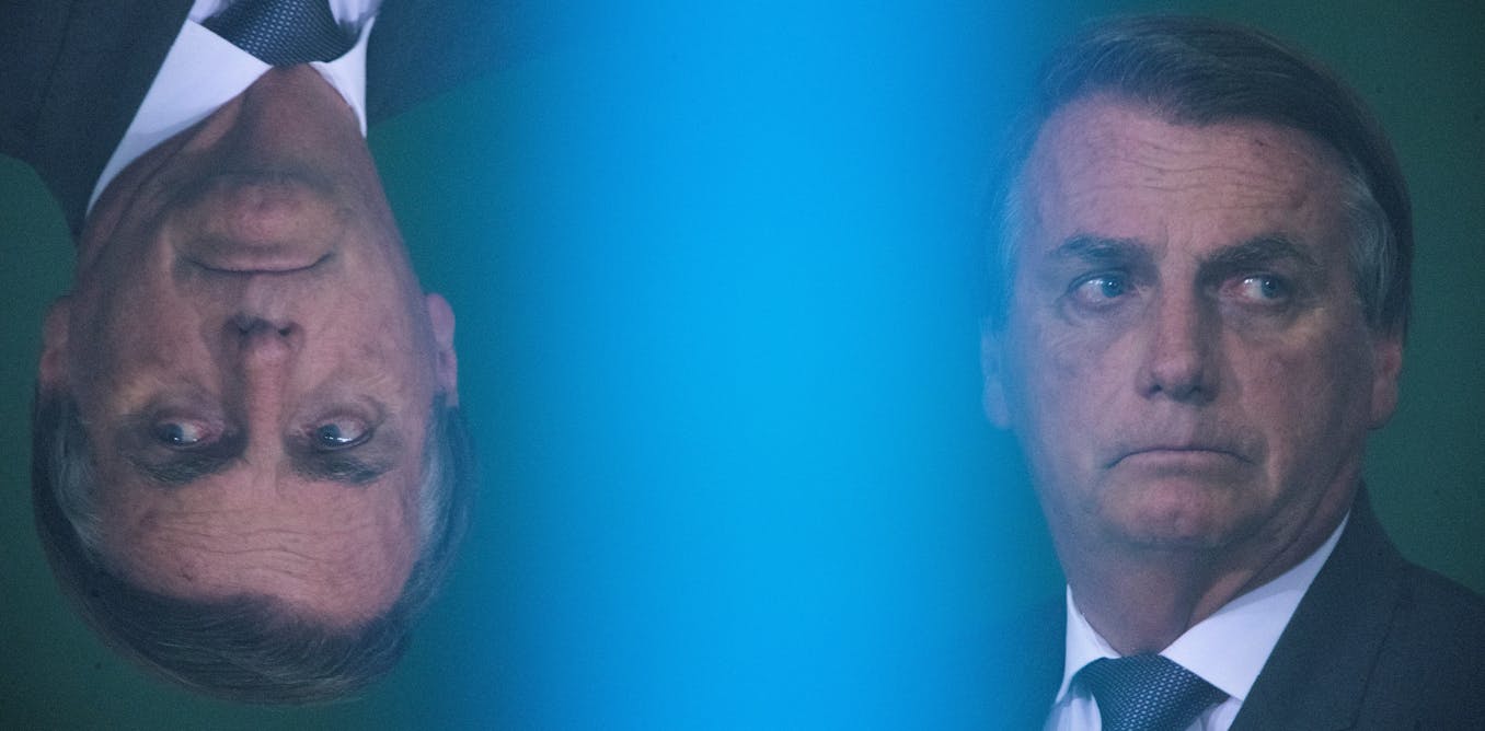 Brazil signs agreement to halt deforestation – but bolsonaro cannot be trusted