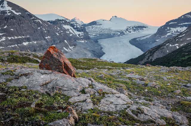 A view of a glacier in the background and lichen covered rocks and heath in the foreground