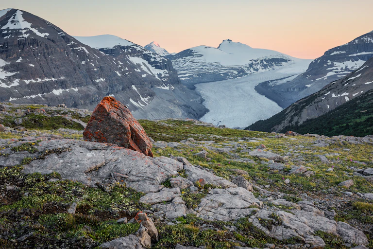 A view of a glacier in the background and lichen covered rocks and heath in the foreground