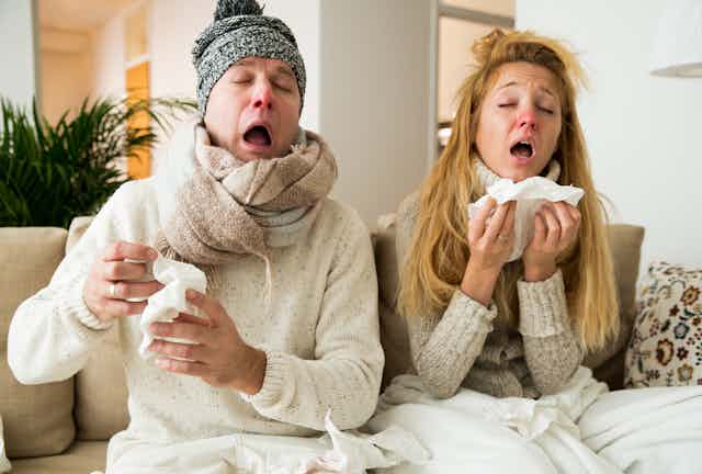 Six idées reçues sur le rhume (et comment s'en débarrasser) passées au  crible des experts