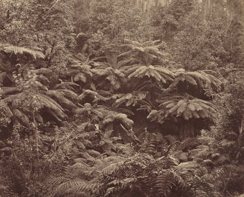 beautiful, available and empty – how landscape photographers reinvented the colonial project in Australia