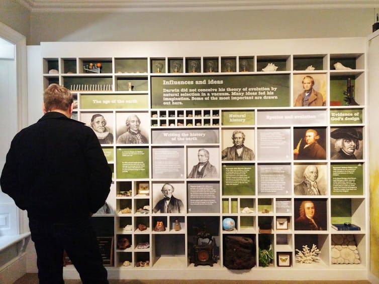 Um homem estuda uma exposição sobre Darwin e a história da ciência na casa de Darwin em Kent.