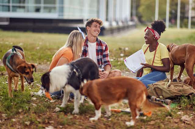 three university-aged students studying on the grass with four dogs surrounding them