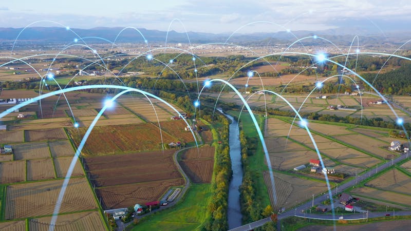 Los retos de las cadenas alimentarias: cómo sortear las crisis y evitar el desabastecimiento Los retos de las cadenas alimentarias: cómo sortear las crisis y evitar el desabastecimiento