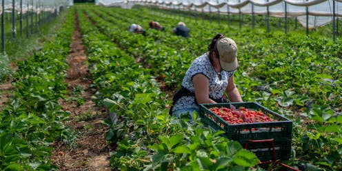 a minimum wage for Australia's farm workers is long overdue