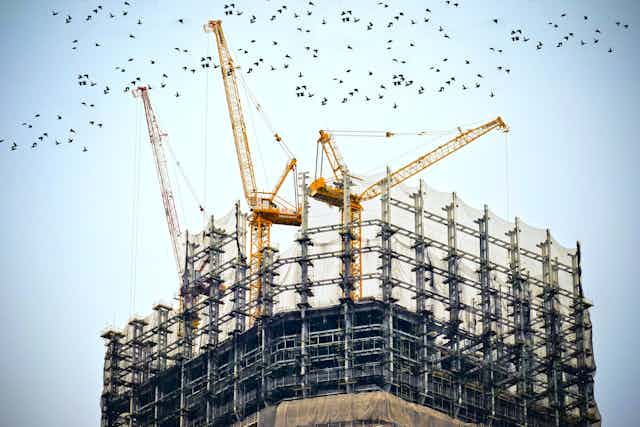 A building under construction with yellow cranes and a flock of birds overhead