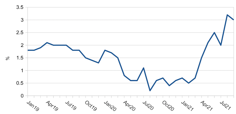 Graph showing annual inflation 2019-21