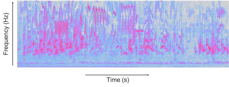 Spectrogram