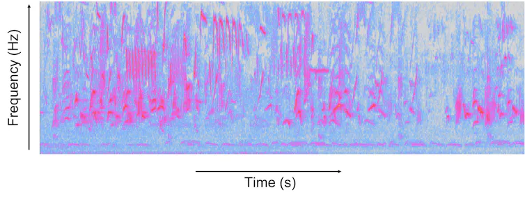 Spectogram Bird We reconstructed birdsong soundscapes from over 200,000 places: and ...