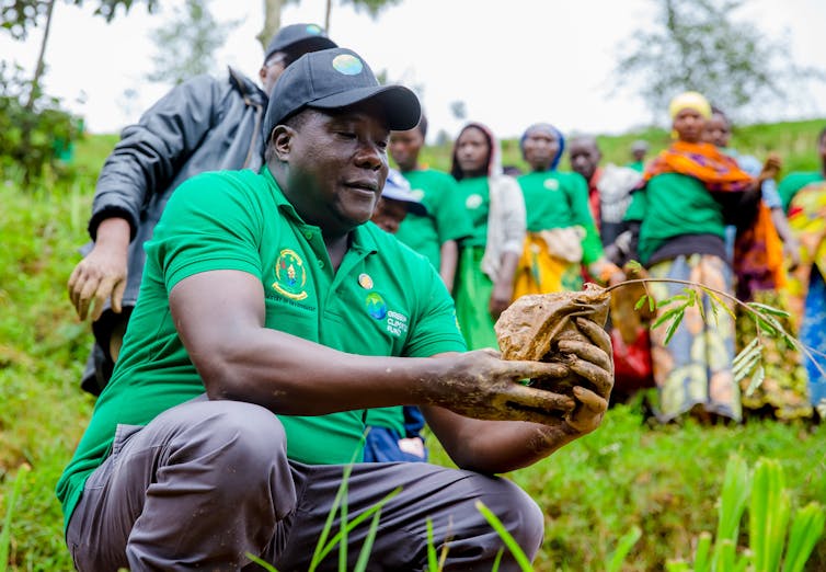 Man holds sapling in field