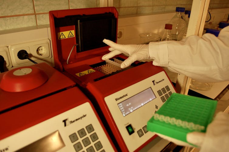 A person in a white coat with gloves placing samples into a red laboratory device. PCR tests are extremely accurate but require special lab equipment – like the PCR heating machine seen here – and can take hours or days to perform