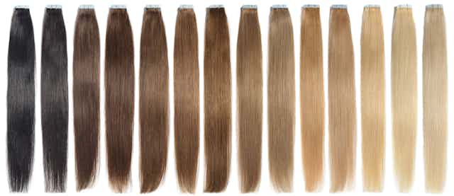 A row of locks of hair ranging from black to blonde