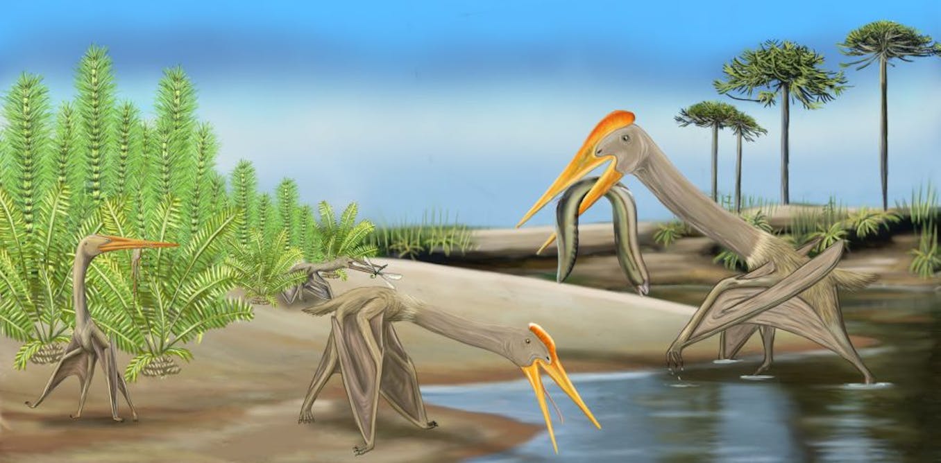 Baby giant pterosaurs may have driven smaller species extinct, fossil discovery shows