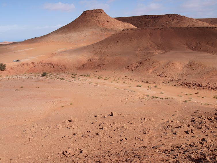 A desert scene.