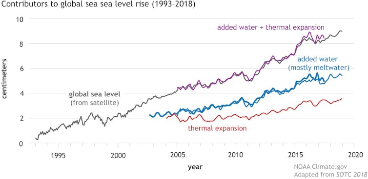 Line chart showing sea level rise attributed to thermal expansion and to melting as purple, blue, and red squiggles