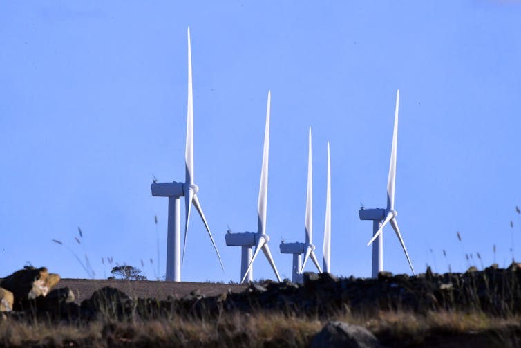 wind farm in field