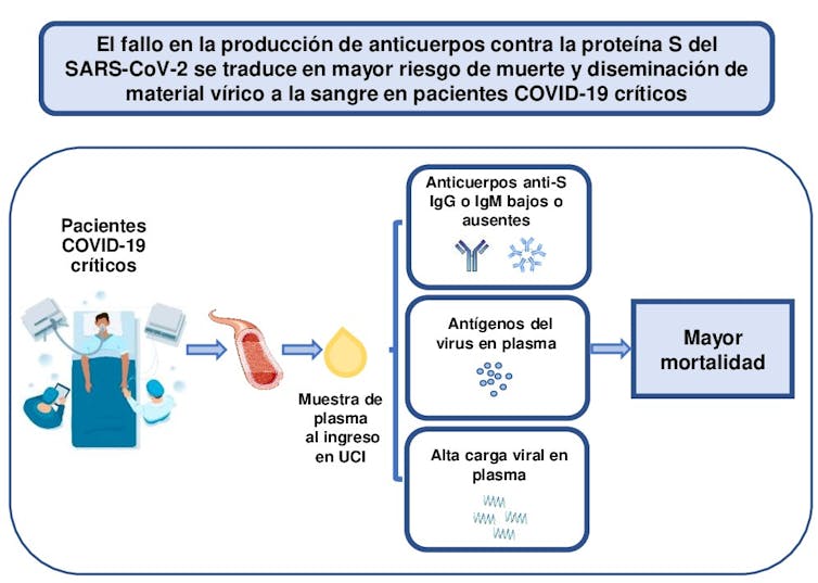Os niveis baixos de anticorpos anti-SARS-CoV-2 S predín un aumento da mortalidade e da diseminación dos compoñentes virais no sangue dos pacientes críticos de Covid-19. Fonte: Martin-Vicente et al. Imaxe achegada polos autores.
