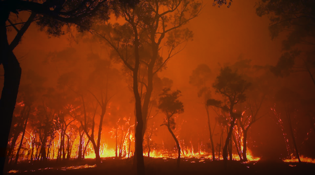 A raging bushfire