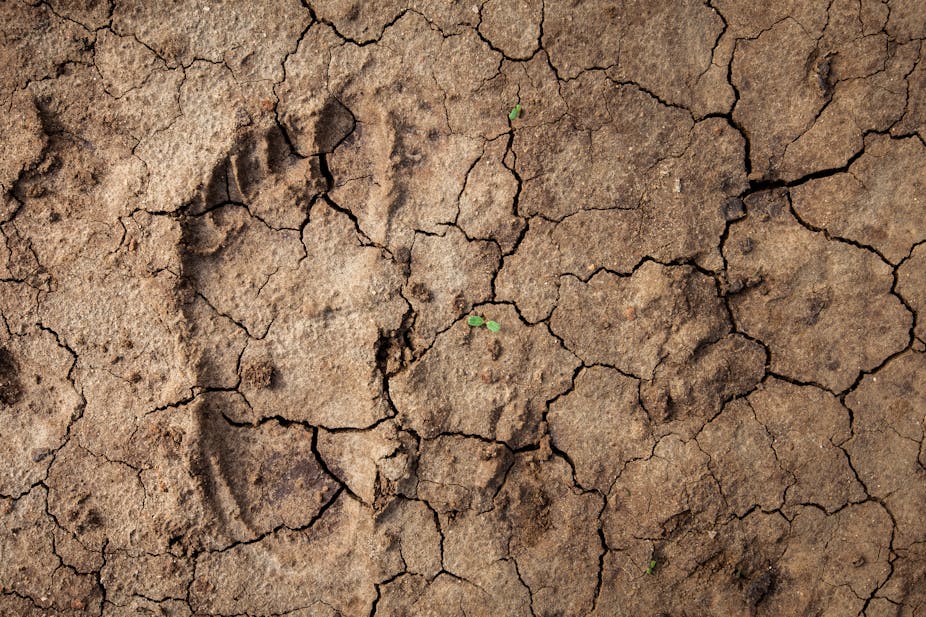 A human footprint on dry, cracked desert earth