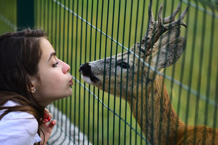 Woman close to a white-tailed deer.