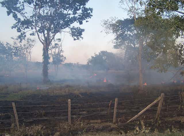 Smoke hangs over a rural field dotted with trees.