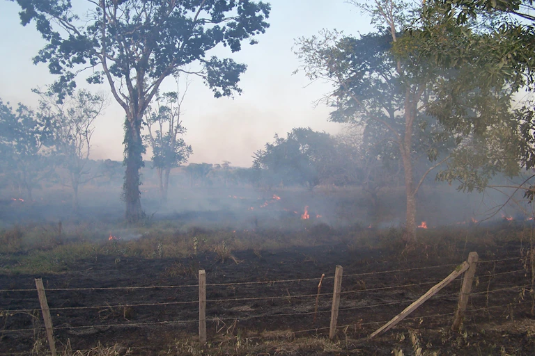 Smoke hangs over a rural field dotted with trees.
