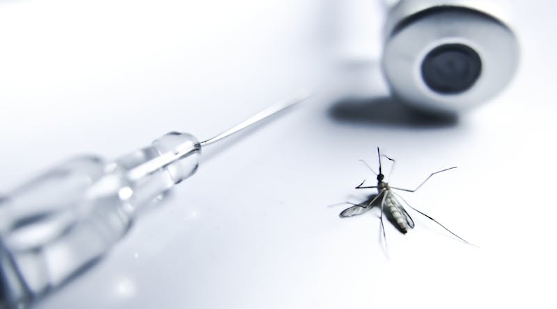 Malaria: Incluso una vacuna con menos del 40% de eficacia puede salvar vidas