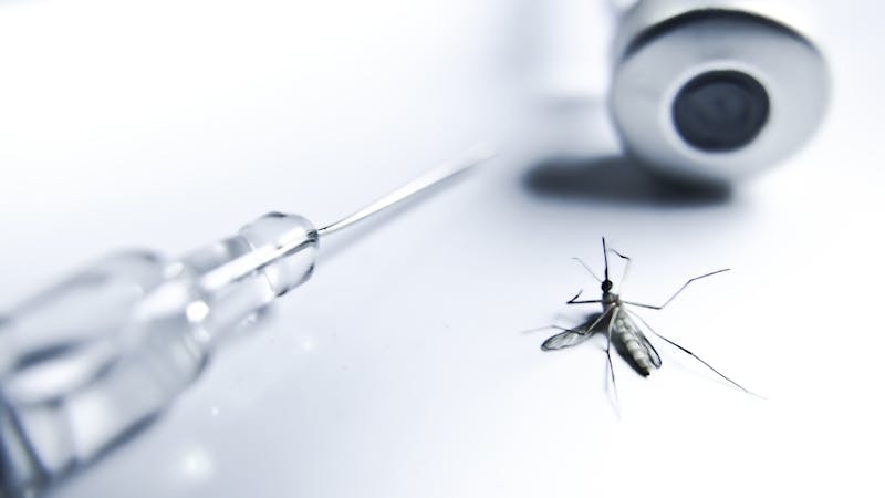 Malaria: Incluso una vacuna con menos del 40% de eficacia puede salvar vidas Malaria: Incluso una vacuna con menos del 40% de eficacia puede salvar vidas