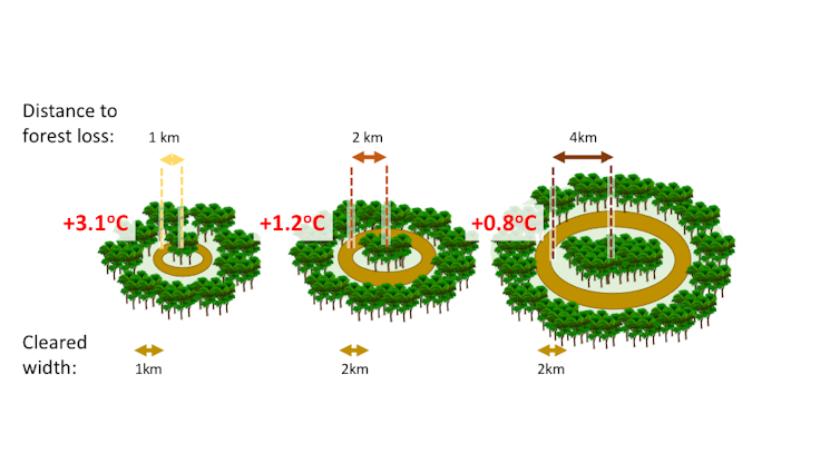 Illustration of how temperature changes due to forest loss.