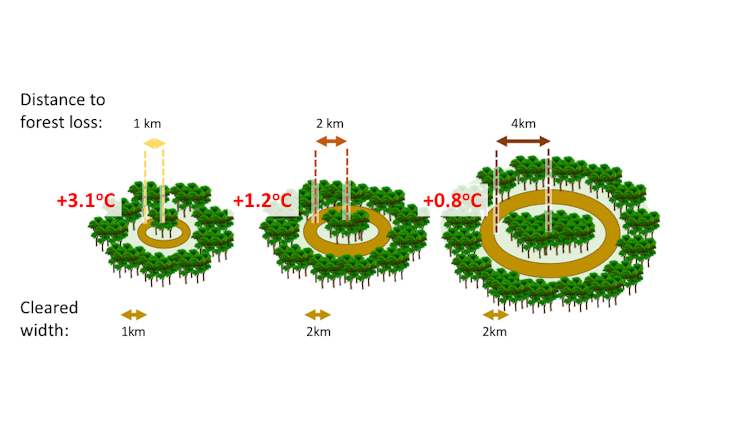 Ilustração de como a temperatura muda devido à perda da floresta.