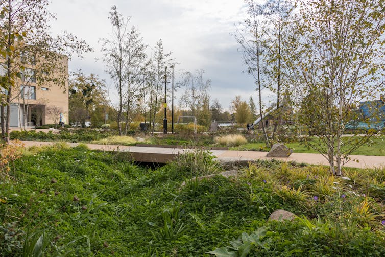 A grassy space with a path through it