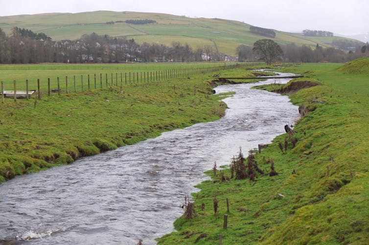 A river flanked by green banks