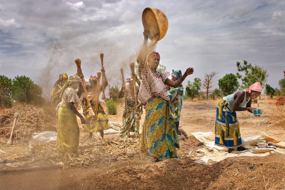 Women in colourful blue and yellow wrap skirts, with equally colourful headwraps, work in a millet field, sifting the grain against a slightly grey sky
