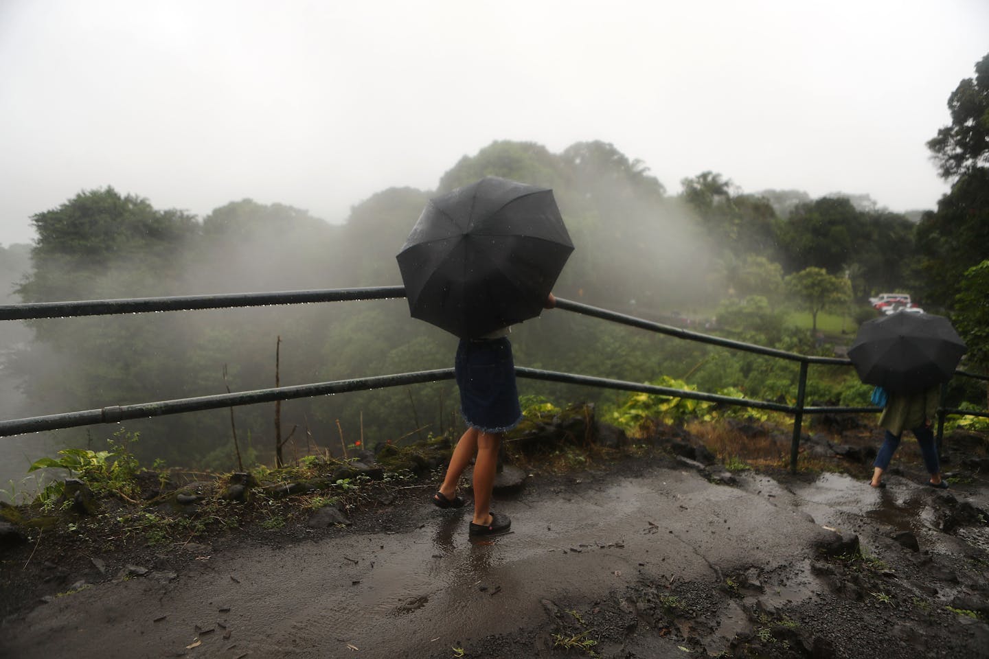 A person walks with an umbrella on a rain soaked trail.