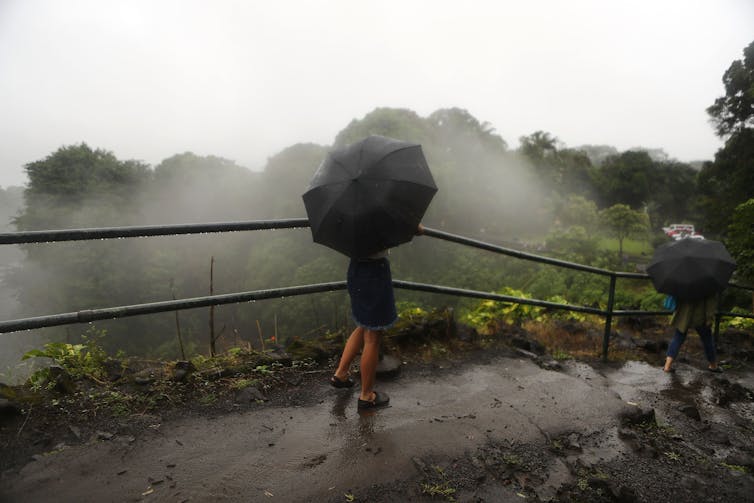 A person walks with an umbrella on a rain soaked trail.