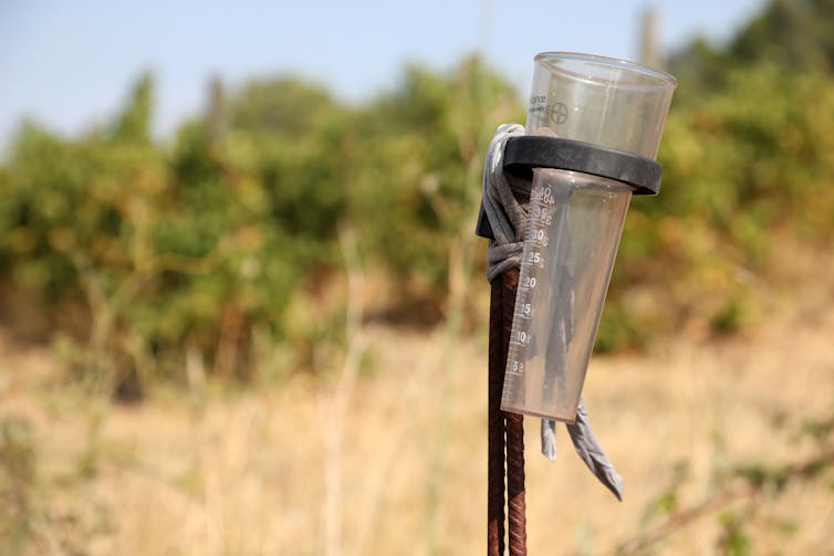 Closeup of a rain gauge.