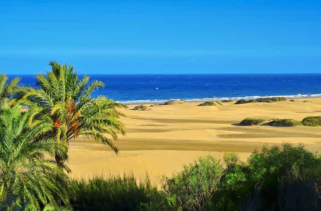 Sand dunes on Canary Islands
