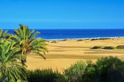 Sex on the beach might be fun for people – but it's bad for dunes and wildlife