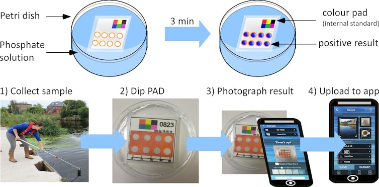 Schematic picture showing the steps of the RiverDip experiment.