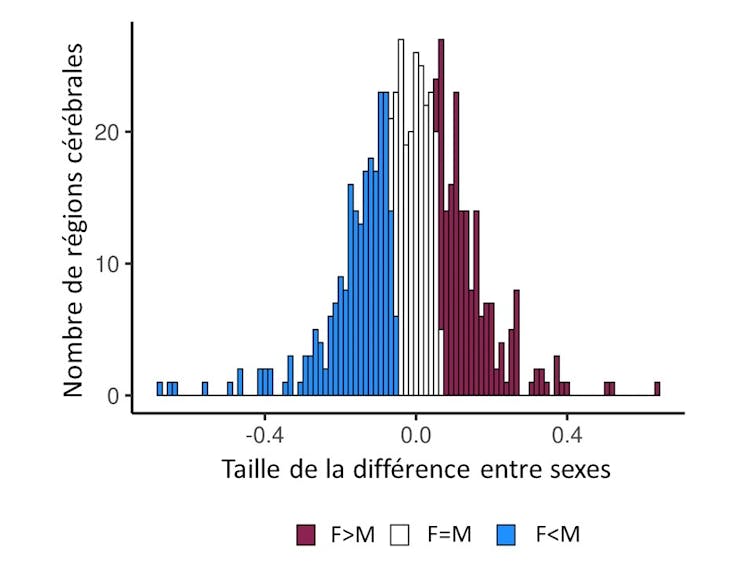 mesures des régions du cerveau entre les sexes, à volume cérébral égal