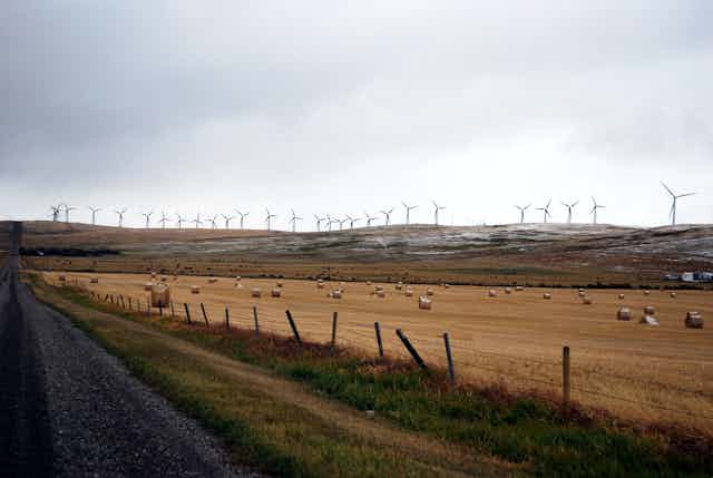 A field full of hay bails is in the foreground and windmills on a hill in the distance